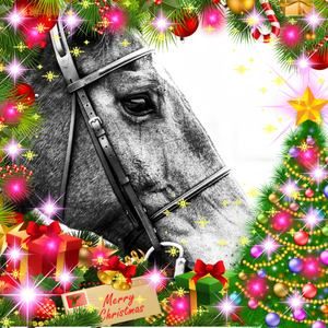 Meet your Posher, Billie